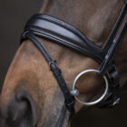 Excellence non-patent - UNIQ Bridles