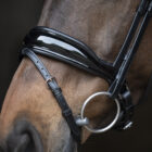 Excellence patent - UNIQ Bridles