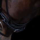 Noseband - UNIQ Bridles