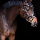 Excellence white padding - UNIQ Bridles