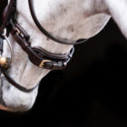 Nosband brown - UNIQ Bridles